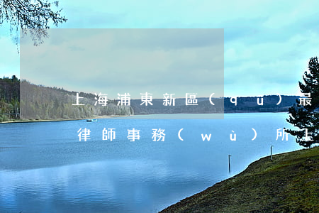 上海浦東新區(qū)最強(qiáng)律師事務(wù)所(上海最頂尖的律師事務(wù)所)