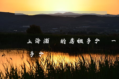 上海浦東的房租多少錢一個月(上海一年房租多少錢)