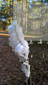 上海浦東看守所律師會(huì)見預(yù)約要多久?(上海浦東看守所律師會(huì)見預(yù)約要多久?)
