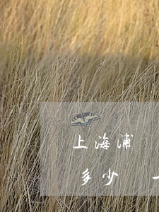 上海浦東租房子多少錢一個月(上海租房一般多少錢一個月)