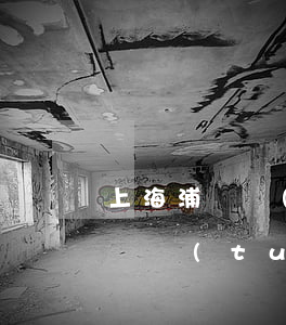 上海浦東經(jīng)濟(jì)糾紛律師團(tuán)隊(duì)(浦東律師事務(wù)所咨詢)