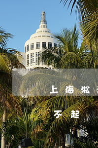 上海淞江交通肇事不起訴(上海淞江交通肇事不起訴)