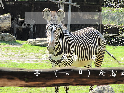 上海漢盛律師事務(wù)所(上海漢盛律師事務(wù)所怎么樣)
