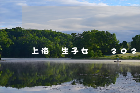 上海獨生子女補貼(2022年上海獨生子女補貼)