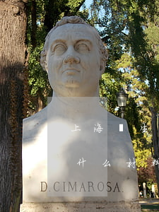 上海獨生子女證辦理(上海辦獨生子女證需要什么材料2020)