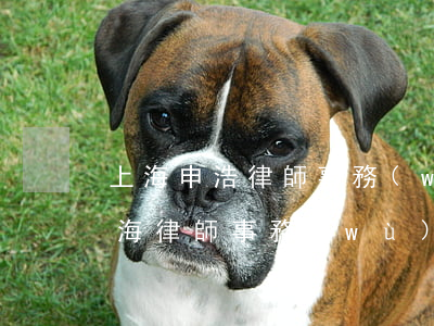 上海申浩律師事務(wù)所在哪里(上海申海律師事務(wù)所)