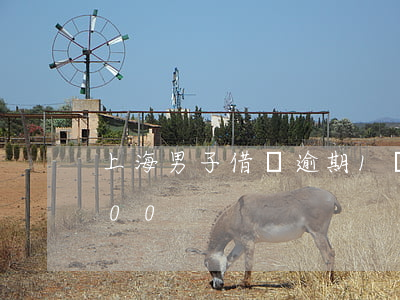 上海男子借唄逾期1萬8(借唄逾期三年8000)
