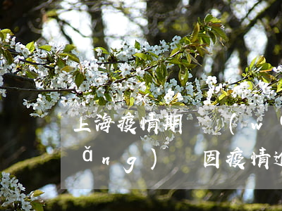 上海疫情期間網(wǎng)貸逾期(網(wǎng)貸因疫情逾期了暫時還不上怎么辦)