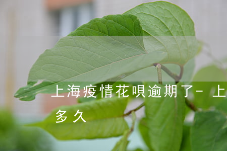 上海疫情花唄逾期了-上海疫情花唄逾期了多久