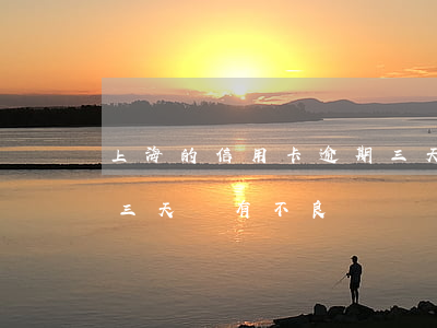 上海的信用卡逾期三天(上海銀行信用卡逾期三天會有不良記錄嗎)
