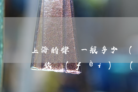 上海的律師一般多少錢(qián)(上海律師收費(fèi)價(jià)目表)