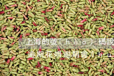 上海的號(hào)碼說(shuō)花唄逾期(花唄逾期會(huì)打電話嗎 電話號(hào)碼是多少)