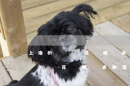 上海的電話說花唄借唄逾期要起訴-上海的電話說花唄借唄逾期要起訴是真的嗎