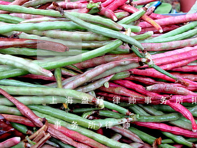 上海盈科律师事务所排名(北京盈科(上海)律师事务所律师)