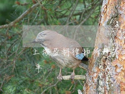 上海盈科律师所好不好(上海盈科律师最新名单)