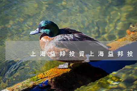 上海益邦投資(上海益邦投資咨詢有限公司)