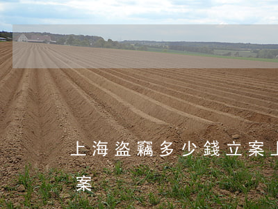 上海盜竊多少錢立案(上海偷盜多少錢可以立案)