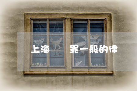 上海盜竊罪一般的律師費是多少