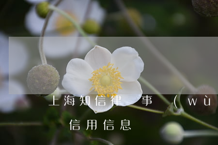 上海知信律師事務(wù)所律師函(上海律師信用信息)
