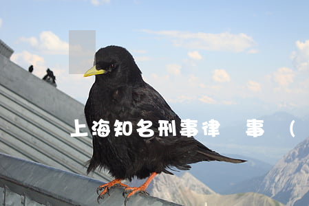 上海知名刑事律師事務(wù)所排行