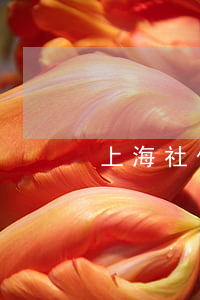 上海社保查詢(上海社保查詢)