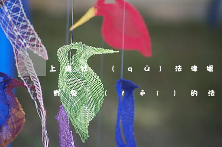 上海社區(qū)法律援助怎么找(上海哪里有免費(fèi)的法律援助)