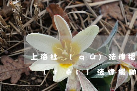上海社區(qū)法律援助怎么找(上海市免費(fèi)法律援助)