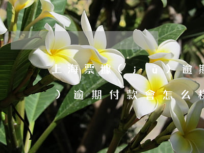 上海票據(jù)逾期付款(上海票據(jù)逾期付款會怎么樣)