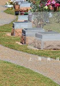 上海离婚手续怎么办(上海办理离婚流程)