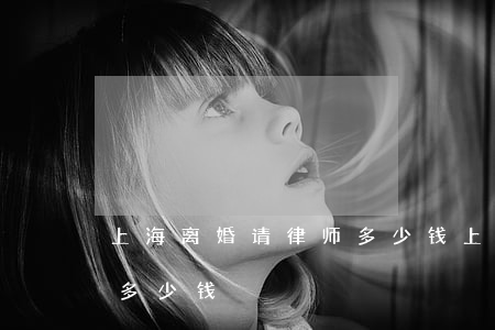 上海离婚请律师多少钱(上海离婚诉讼律师费多少钱)