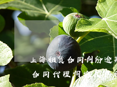 上海租赁合同纠纷逾期交房代理词 房屋租赁合同代理词 拖欠房租