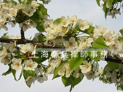 上海秦兵律師事務(wù)所地址