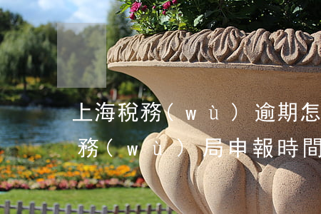 上海稅務(wù)逾期怎么辦理流程(上海稅務(wù)局申報時間)
