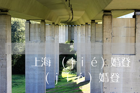 上海結(jié)婚登記預(yù)約(上海結(jié)婚登記預(yù)約查詢)