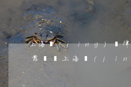 上海經(jīng)緯律師事務(wù)所靠譜嗎(上海經(jīng)緯律師事務(wù)所 官網(wǎng))
