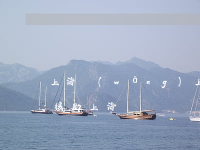 上海網(wǎng)上免費的法律援助(法律援助上海熱線)