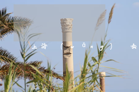 上海網(wǎng)貸女欠二百多萬