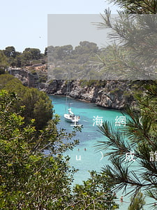 上海網(wǎng)貸逾期不還會構(gòu)成詐騙罪嗎-上海網(wǎng)貸逾期不還會構(gòu)成詐騙罪嗎