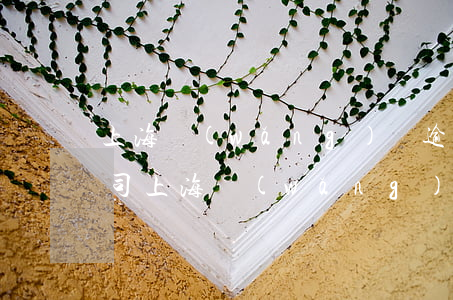 上海網(wǎng)貸逾期修復(fù)公司(上海網(wǎng)貸投訴熱線)