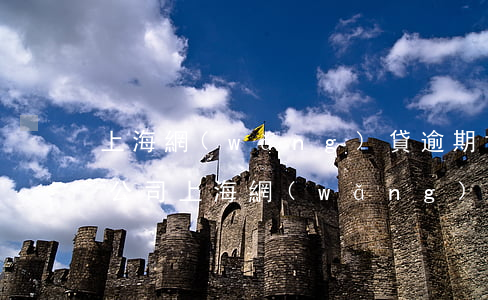 上海網(wǎng)貸逾期協(xié)商公司（上海網(wǎng)貸逾期如何協(xié)商）