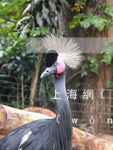 上海網(wǎng)貸逾期多久被起訴-網(wǎng)上貸款逾期多久起訴
