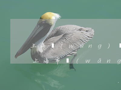 上海網(wǎng)貸逾期處理中心電話-上海市網(wǎng)貸投訴電話