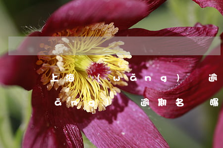 上海網(wǎng)貸逾期通緝名單(網(wǎng)貸逾期名單曝光)