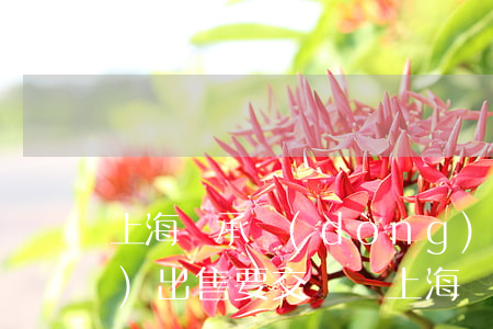 上海繼承動(dòng)遷房產(chǎn)出售要交稅嗎(上海繼承的房要交房產(chǎn)稅嗎)