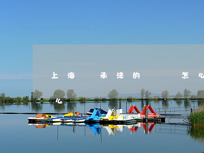 上海繼承法的稅費怎么(上海繼承法的稅費怎么)