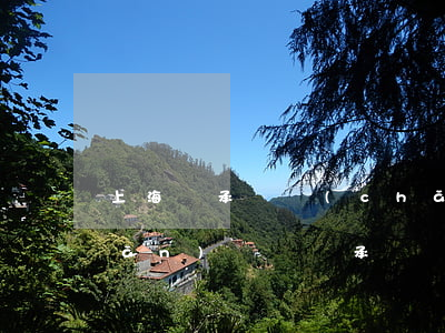 上海繼承遺產(chǎn)要交遺產(chǎn)稅嗎(繼承遺產(chǎn)有遺產(chǎn)稅嗎)