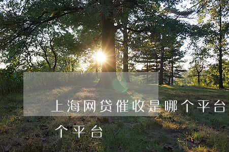 上海网贷催收是哪个平台(上海网贷催收是哪个平台)
