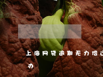 上海网贷逾期无力偿还(网贷全部逾期了怎么办)