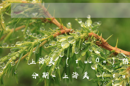 上海美團(tuán)信用卡逾期怎么保留分期-上海美團(tuán)信用卡逾期怎么保留分期記錄
