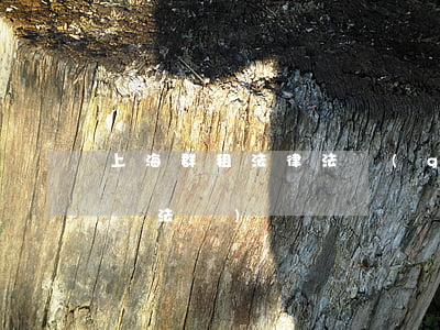 上海群租法律法規(guī)(上海群租房違法嗎)
